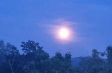 FeWo Tanja - Foto 28