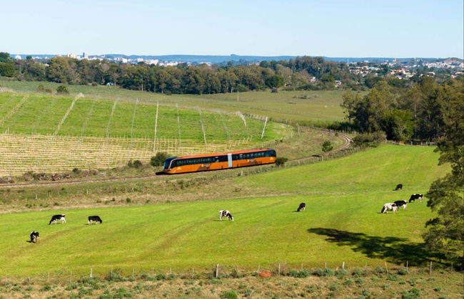 Paseo en el Tren de Pampa + Visita a la bodega Almadén - Foto 5
