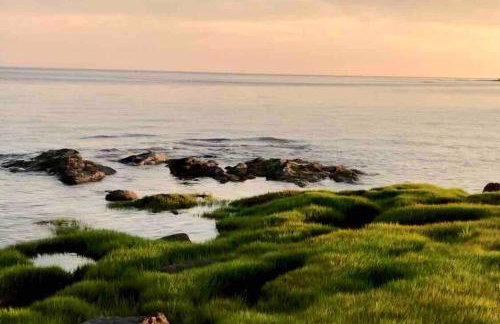 Direct Waterfront 4 Bedroom Beach House With Stunning LI Sound Views & Private Beach - Foto 48