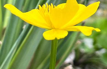 Agriturismo Corte Cea - Foto 9