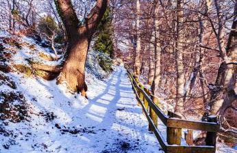 East Wing Apartment in Elgin - Foto 83