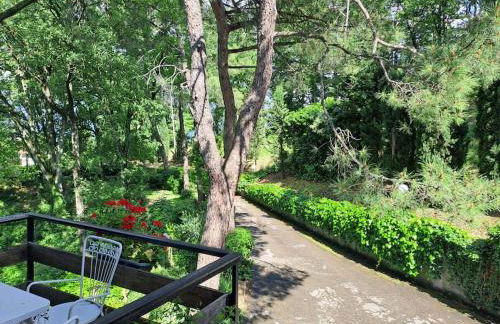 LA BARCA NEL FRUTTETO Natura e relax in collina - Foto 26