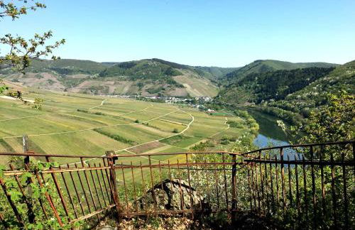 Ferienwohnungen Merl - Foto 73