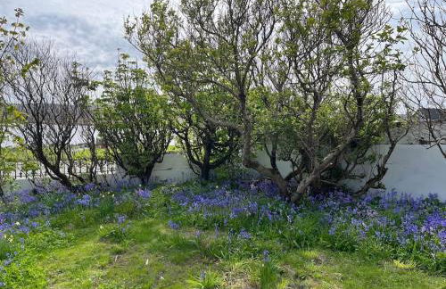 Bixter House - a spacious self-catering property - Foto 25