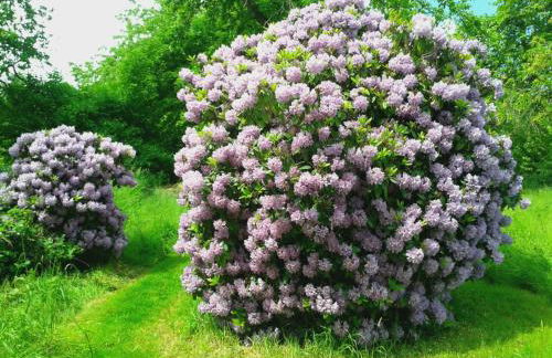 Ferienwohnung Beim Rößl - Foto 14