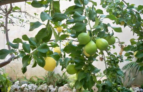 Casa Familiar y Acogedora - Foto 18