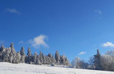 Berg-Panorama-Ferienwohnungen Gut-Lichtenau - Foto 75