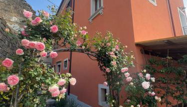 Villa Letizia - Foto 4