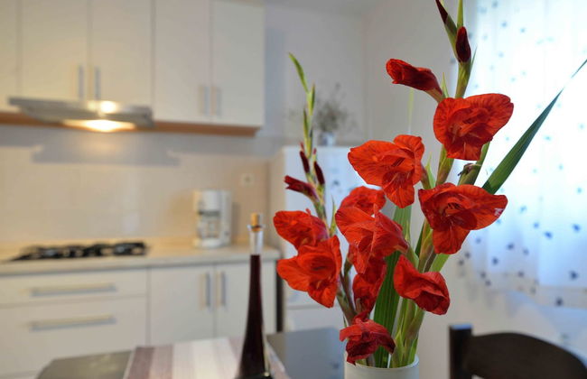 Apartment Miracle - Foto 23