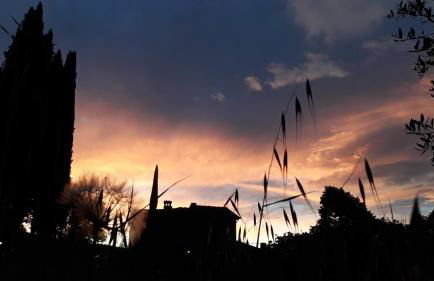 Podere Pievina Delle Corti - Dimora di Campagna - Photo 40