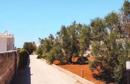 Villetta tra ulivi e mare - Foto 19