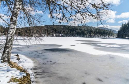 Ferienwohnung am Schwellenweiher - Foto 27