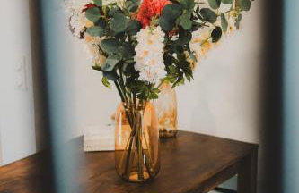 T2 cosy tout équipé, parking et wifi gratuit, Castres - Foto 47