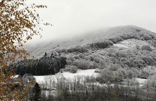 SUPER LIORAN LA MAISONETTE à 5 km de la station - Foto 17