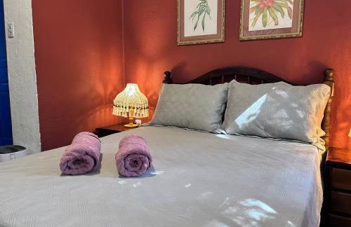 Chalé Gaia - Hospedagem Itatiaia - Photo 4