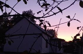 Leśny Domek - Foto 5