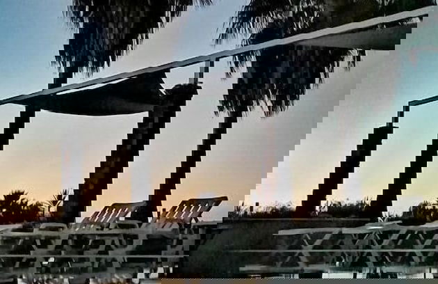 Herdade da Diabroria - Foto 37