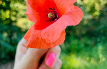 Dom nad jeziorem Mazury pomost segment 1 - Foto 36