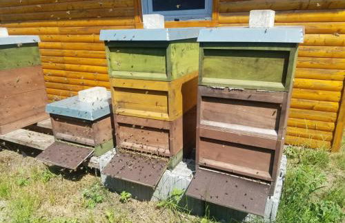 Ferienhaus zum Imker - Foto 23