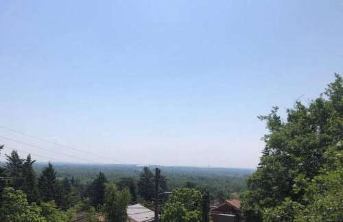 Le jardin suspendu - Foto 18