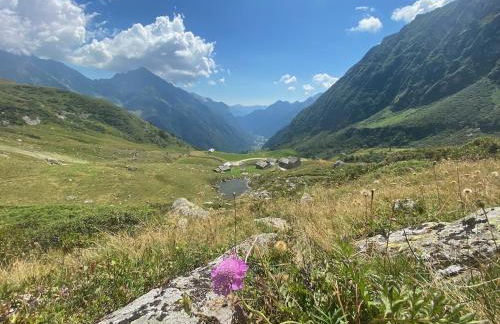 Mountain Cabin Valsesia Appartement Stella - Foto 29