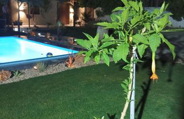 Green Oasis House in Filerimos - Foto 11