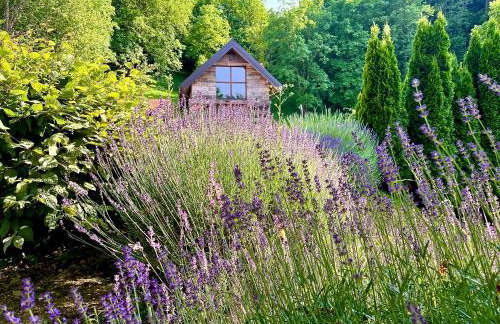 Vila Countryhouse Pijevci - Foto 2