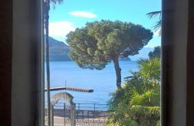 LITTLE FLOWER - Foto 71