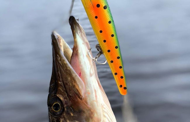 3 Person Holiday Home in Graninge - Foto 15