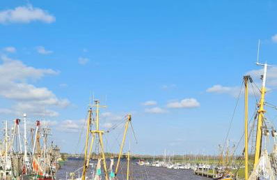 Ferienhaus Nordseeglück im Ferienpark Berumbur - Foto 54