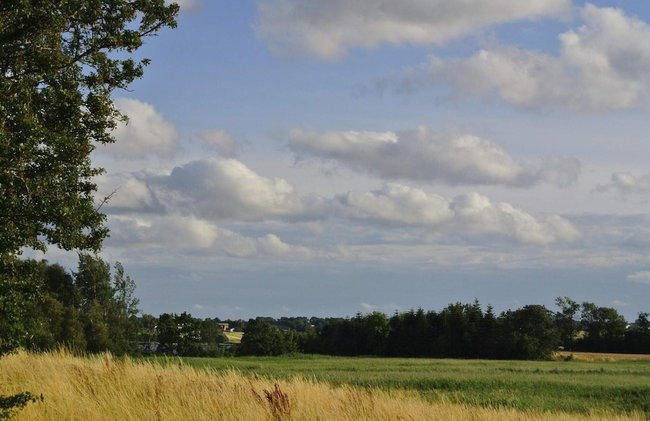 Luxury Retreat in Hejlsminde - By Traum - Foto 26