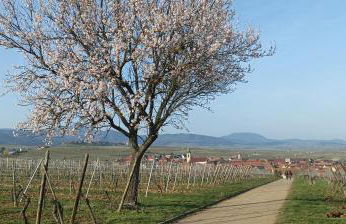 Un balcon sur les toits - Foto 27