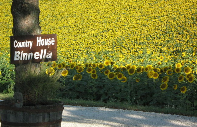 Country House Binnella - Foto 10