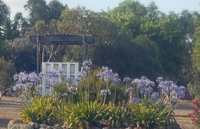 Redtail Ridge Cottages - Adults Only - Foto 21