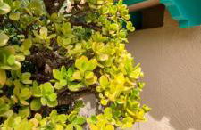 Azzurra Home-Charming Property- For 6 guests - Foto 33