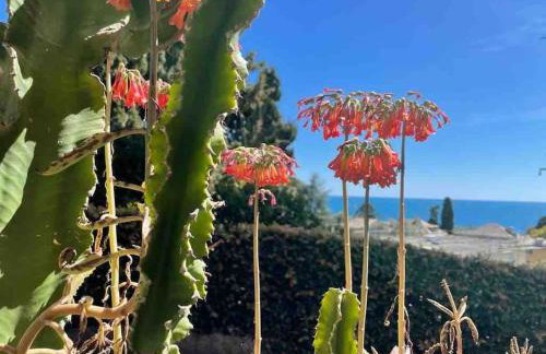 Nervi residenziale a due passi dal mare - Foto 17