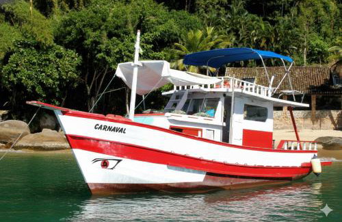 Carnaval Boat Tour - Photo 5