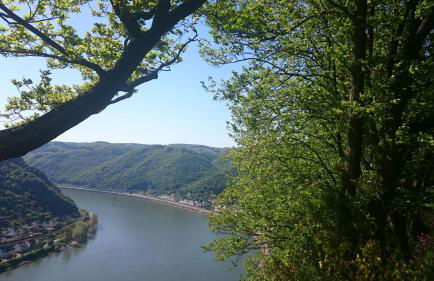RheinWeinBoppard 2 - mit Rheinblick - Foto 68