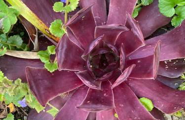 FERIENWOHNUNG ALL YOU NIED mit NIEDBLICK und TERRASSE - Foto 38