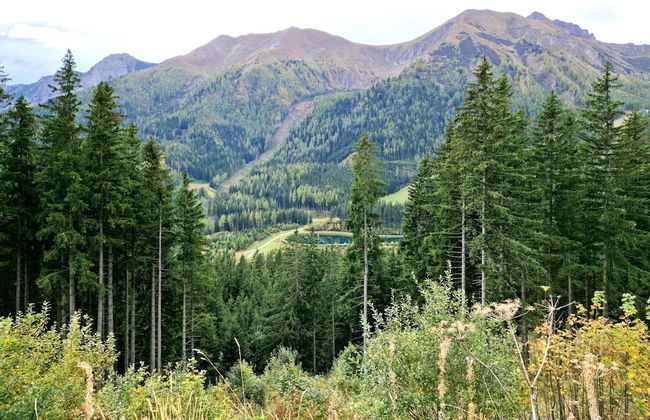 Chalet in the Praebichl ski Area With Sauna - Foto 31