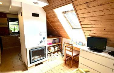 Studio Gościnne ANTEK - Foto 6