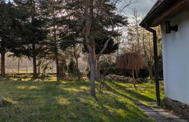 Świerkowe Ranczo Raciszewo - Foto 44