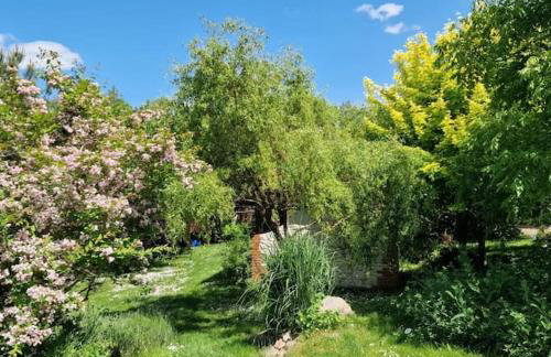 Agroturystyka Nad Bystra - Drewniany dom z pięknym ogrodem - Photo 3