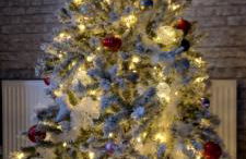 Butterflies Rest - Foto 51