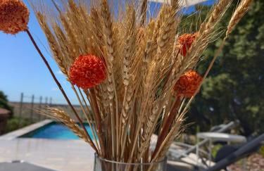 El encinar de Gabino - Foto 62