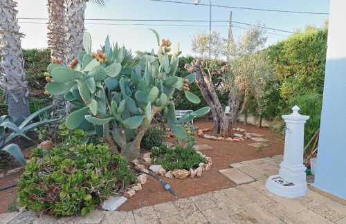 Villa del Sole - Salento Mille e una Notte - Foto 28