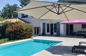 la lavande bleue - Foto 1