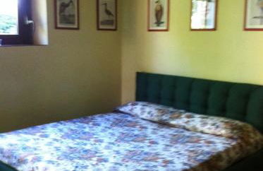 Fattoria di Migliarino - Foto 29