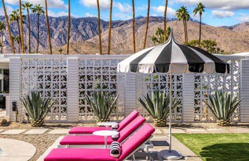 Pink Paloma - Foto 48