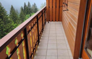 2-bed appt 20 mins from Morzine Portes du Soleil French Alps - Foto 26